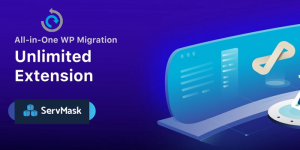 All in One WP Migration Unlimited Extension