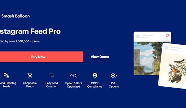 Instagram Feed Pro wordpress plugin