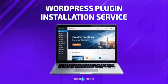 WordPress Plugin Installation Service