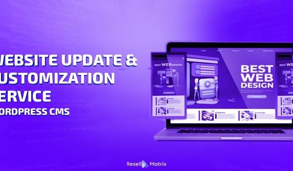 WordPress Website Update and Customization Service