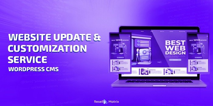 WordPress Website Update and Customization Service