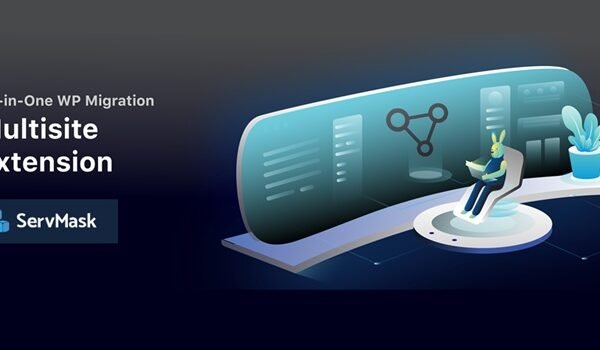 All-in-One WP Migration Multisite Extension