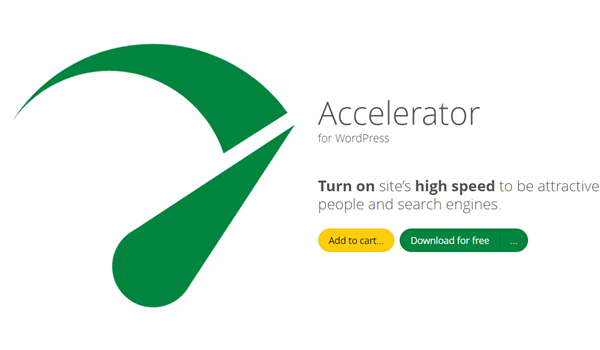 Seraphinite Accelerator Premium WordPress plugin